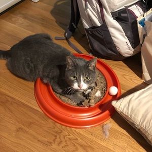 Meet your Posher, Cindy